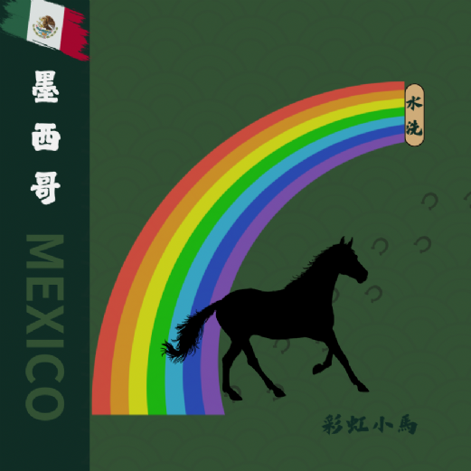 墨西哥 彩虹小馬